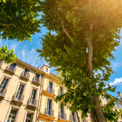 Incentive Outdoor Aix-en-Provence : sortir la tête du guidon et lever les yeux vers le soleil