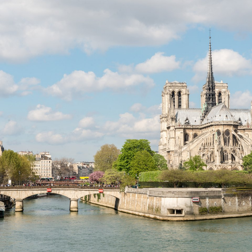 Team building urbain à Paris proche de la cathédrale Notre dame