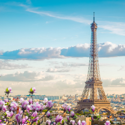 Team building au pied de la Tour Eiffel