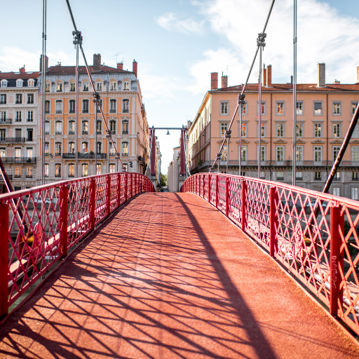 Journée cohésion d'équipe à Lyon : le grand air comme allié !