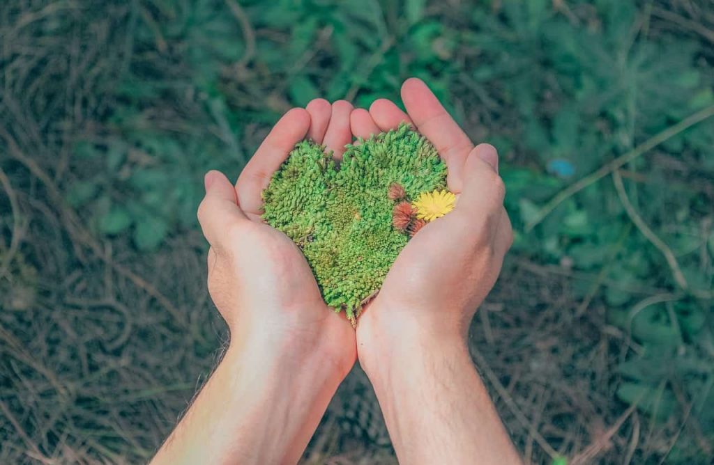 Journée d'entreprise sur l'environnement