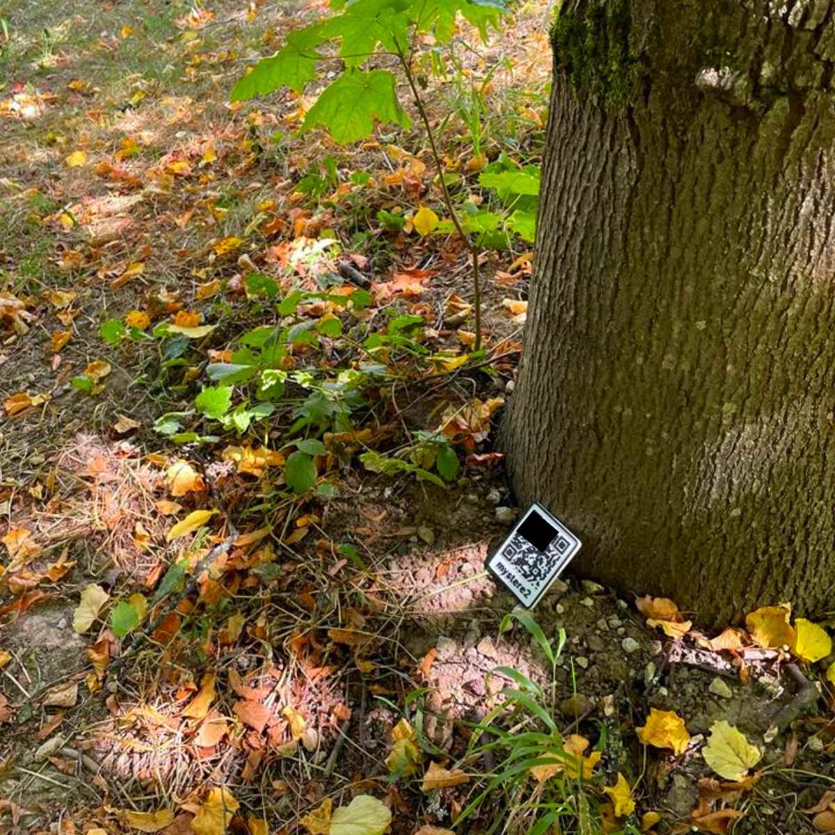 QR code trésor caché
