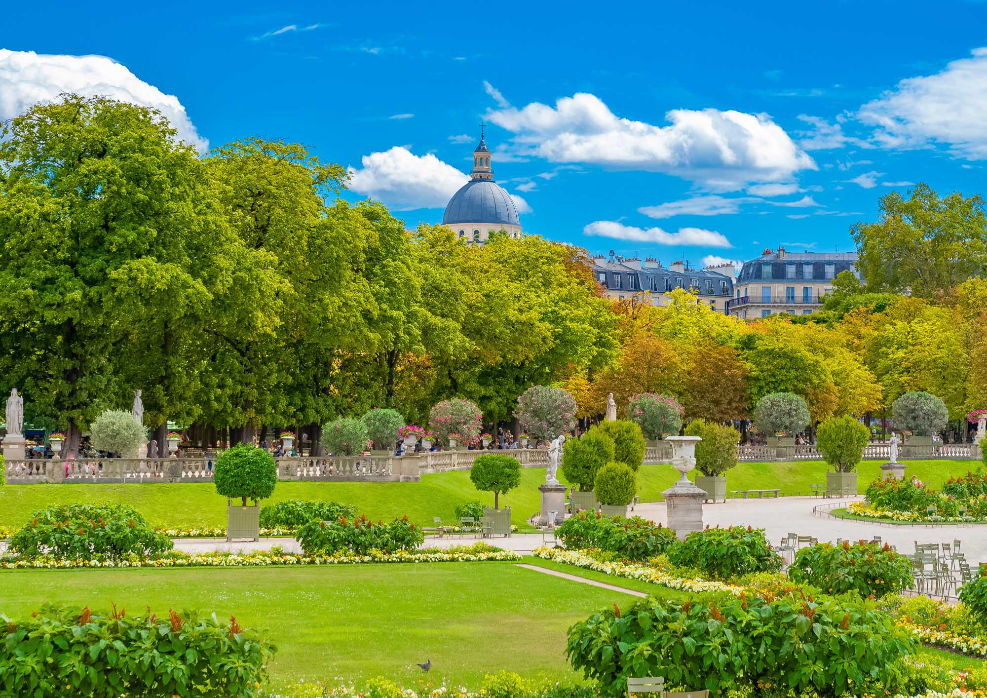 Photo d'un parc à Paris