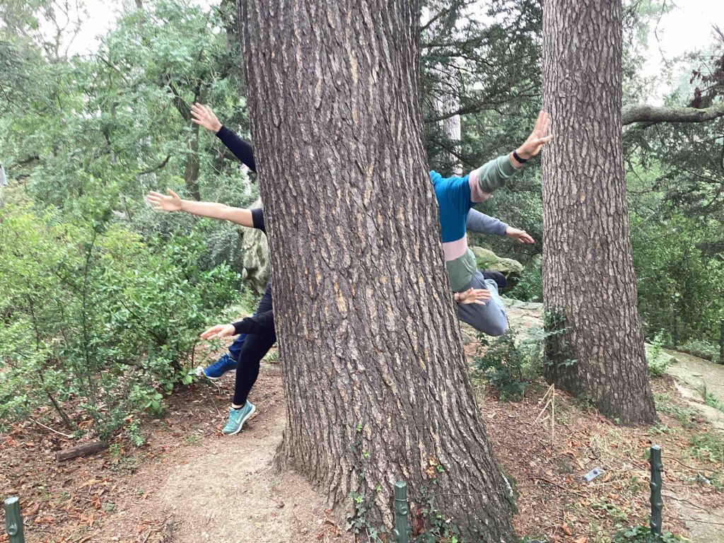 Photo d'un arbre avec des bras d'une équipe de collaborateurs qui les mettent en évidence