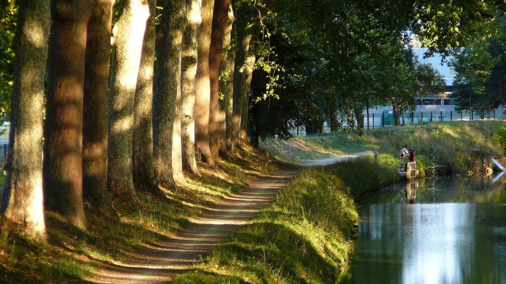 Photo du canal, des arbres et d'un sentier à Toulouse