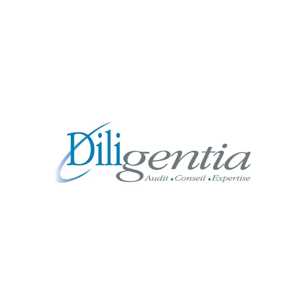 Logo de l'entreprise Diligentia